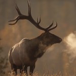 Screenshot 2025-10-22 at 2.10.16 PM